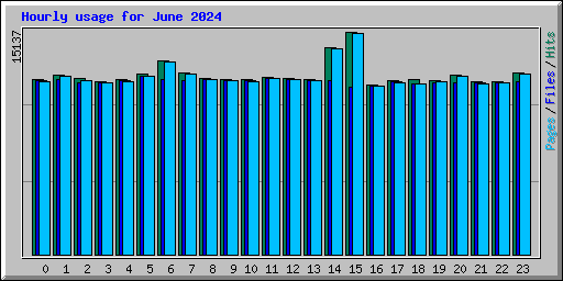 Hourly usage for June 2024