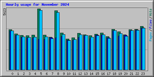 Hourly usage for November 2024