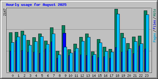 Hourly usage for August 2025