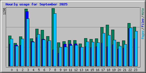 Hourly usage for September 2025