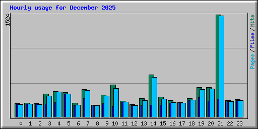 Hourly usage for December 2025