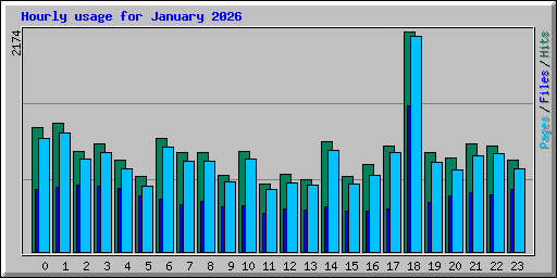 Hourly usage for January 2026